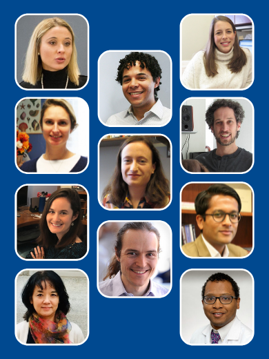Headshots of 11 faculty in tiled square frames