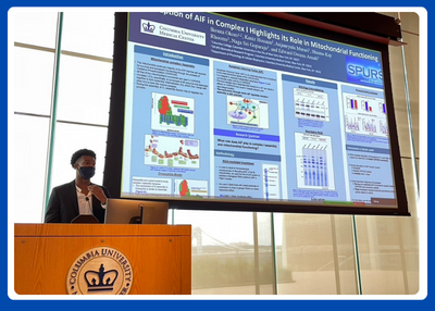 photo of student giving presentation in front of large screen