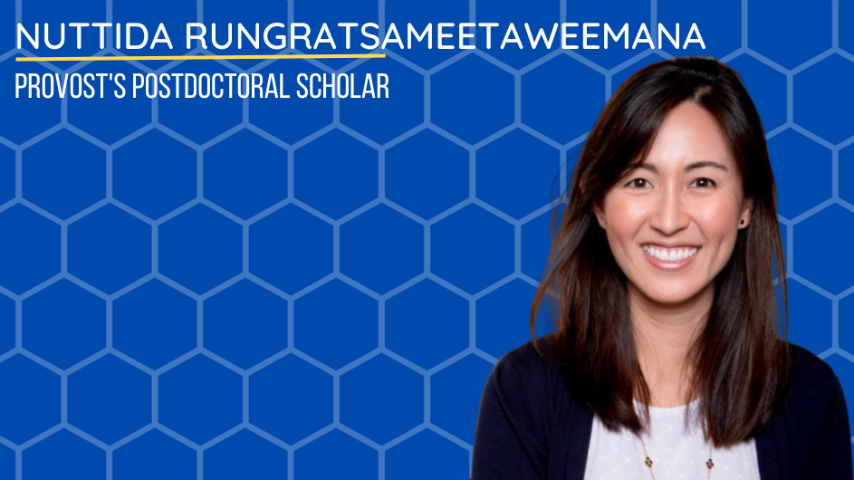 Picture of Nuttida Rungratsameetaweemana Provost's Postdoctoral Scholar on a blue beehive background
