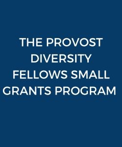 The Provost Diversity Fellows Small Grants Program