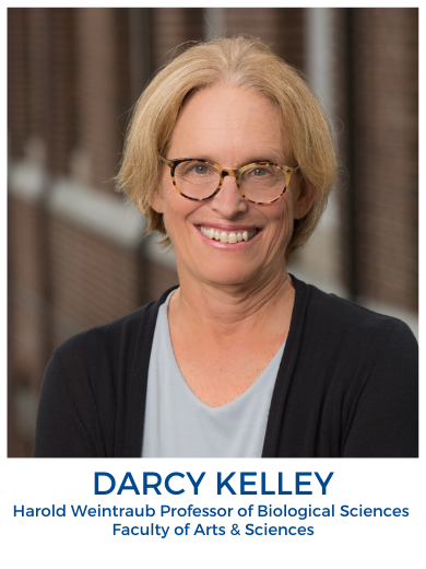 Head shot of Darcy Kelley