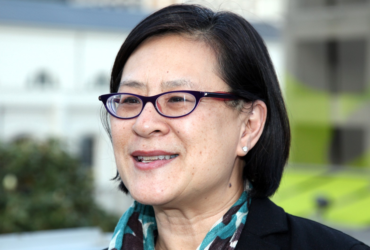 Mae Ngai, Lung Family Professor of Asian American Studies and Professor of History, Faculty of Arts & Sciences Mae Ngai, Lung Family Professor of Asian American Studies and Professor of History, Faculty of Arts & Sciences