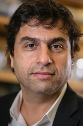 Hashim Al-Hashimi, Professor of Biochemistry and Molecular Biophysics Hashim Al-Hashimi