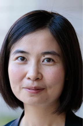 Wenxin Du, Wenxin Du, Henry Kaufman Professor of Financial Institutions Wenxin Du