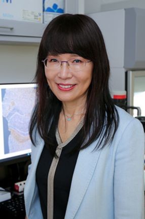 Yousin Suh, Professor of Reproductive Sciences (in Obstetrics and Gynecology) and of Genetics and Development Yousin Suh