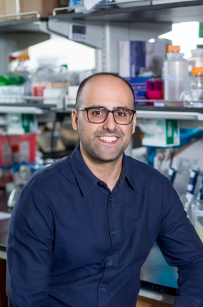 Tal Danino, Associate Professor of Biomedical Engineering Tal Danino in his engineering laboratory.