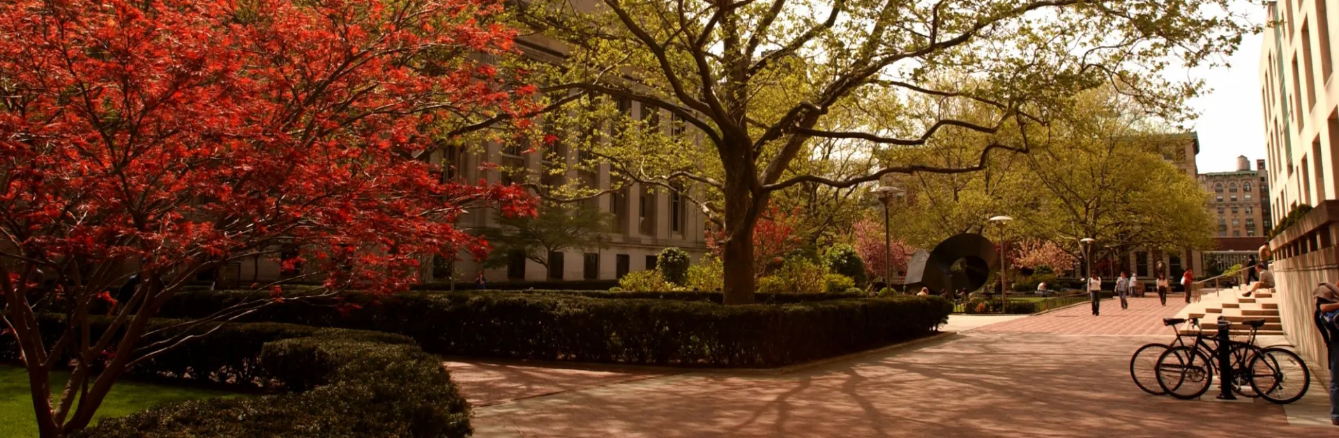 Campus