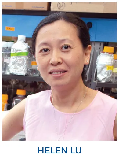 Head shot of Helen Lu