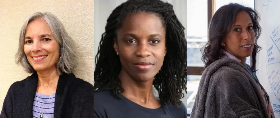 Head shots of Ana Abraido-Lanza, Olatunde Johnson, and Gina Wingood