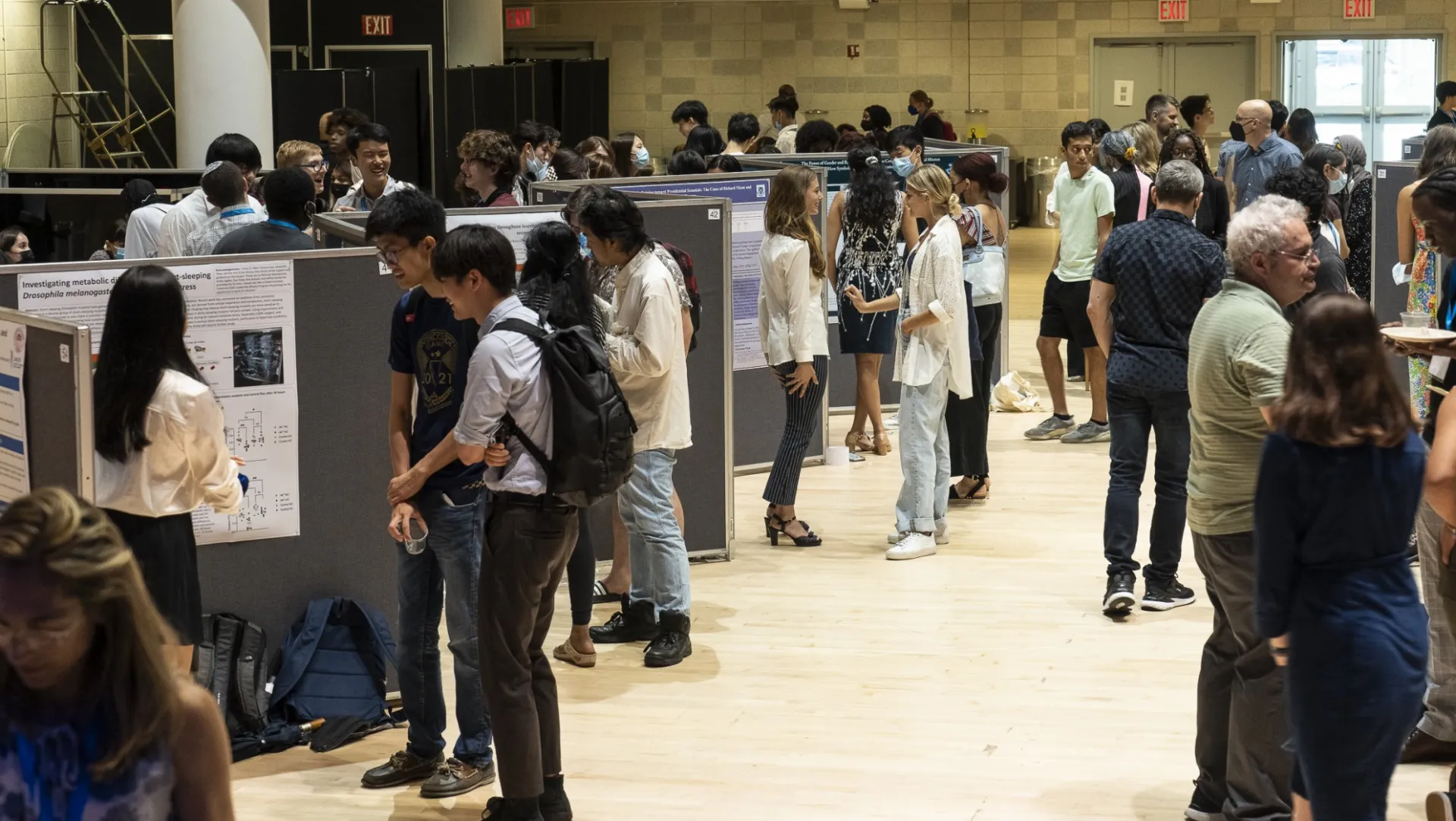 Students standing in small groups talking in front of posters displayed in cubicles