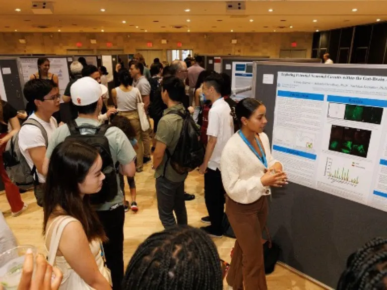 Photo of students milling around posters pinned to room dividers.