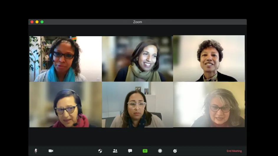 Zoom screen shot with images of the panel