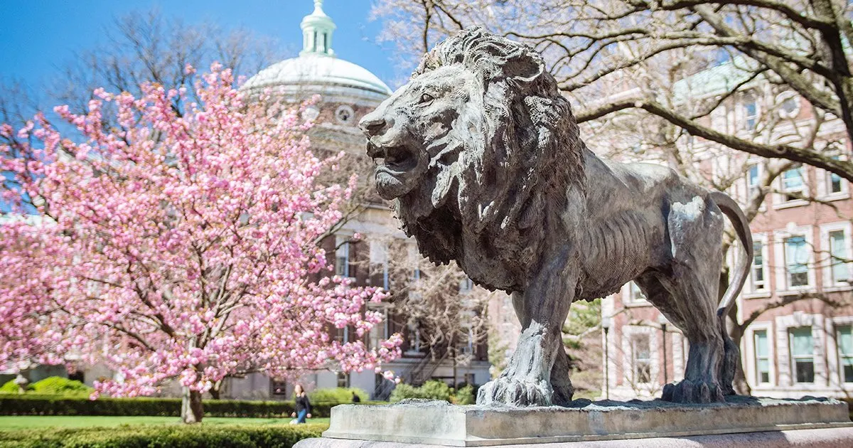 Lion statue on Columbia Campus with cherry flowers in the background.