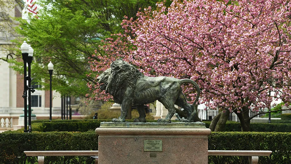 Photo of lion status on campus