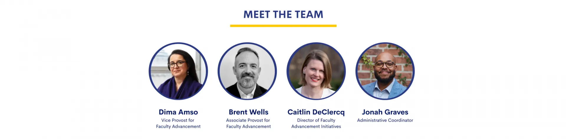 Meet the team