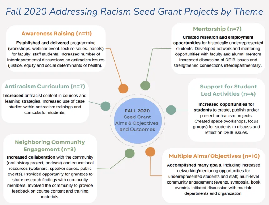 Fall 2020 Addressing Seed Grant Projects by Theme
