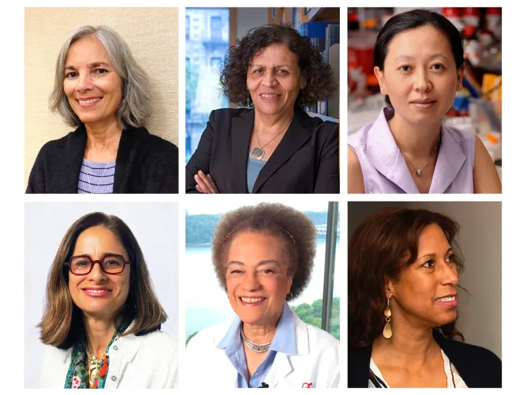 Metrics and Evaluation Working Group members: Ana Abraido-Lanza, Professor of Social Work; Nabila El-Bassel, University Professor and Willma and Albert Musher Professor of Social Work; Helen Lu, Percy K. and Vida L.W. Hudson Professor of Biomedical Engineering and Professor of Dental and Craniofacial Engineering (in Dental Medicine); Maria Victoria Murillo, Professor of Political Science and of International and Public Affairs; Anne Taylor, John Lindenbaum Professor of Medicine at the Columbia University Me